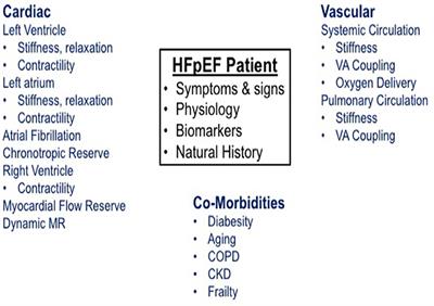 Interatrial Shunt Device for Heart Failure With Preserved Ejection Fraction